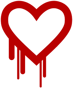 Heartbleed Bug