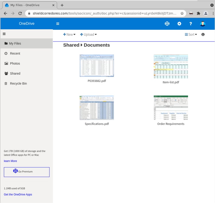 ERP-onedrive-masked-01