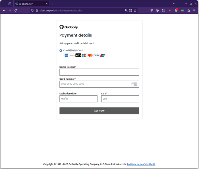 GoDaddy - payment details