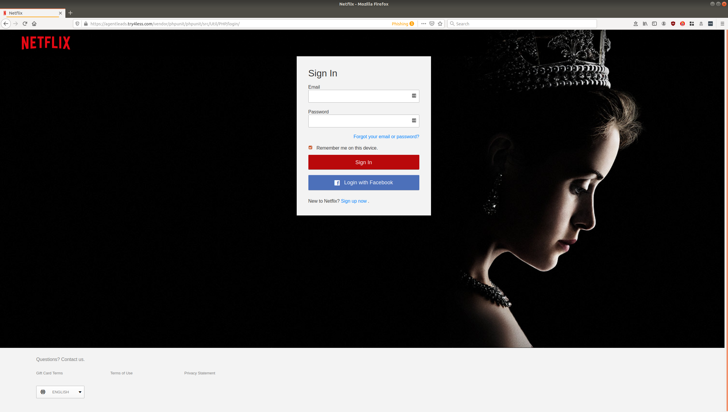 Netflix Login Page