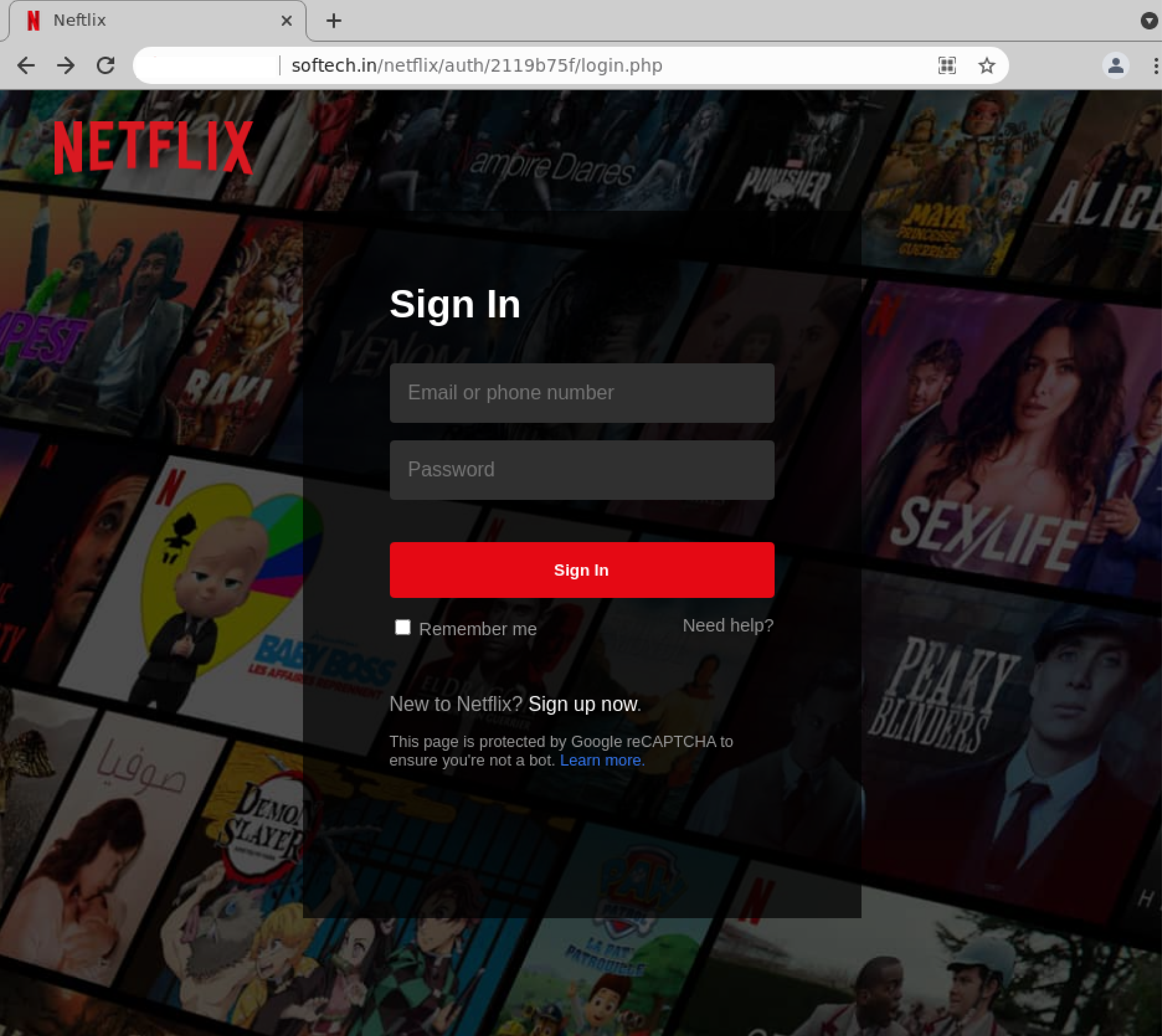 Netflix-sign-in-page-masked-01