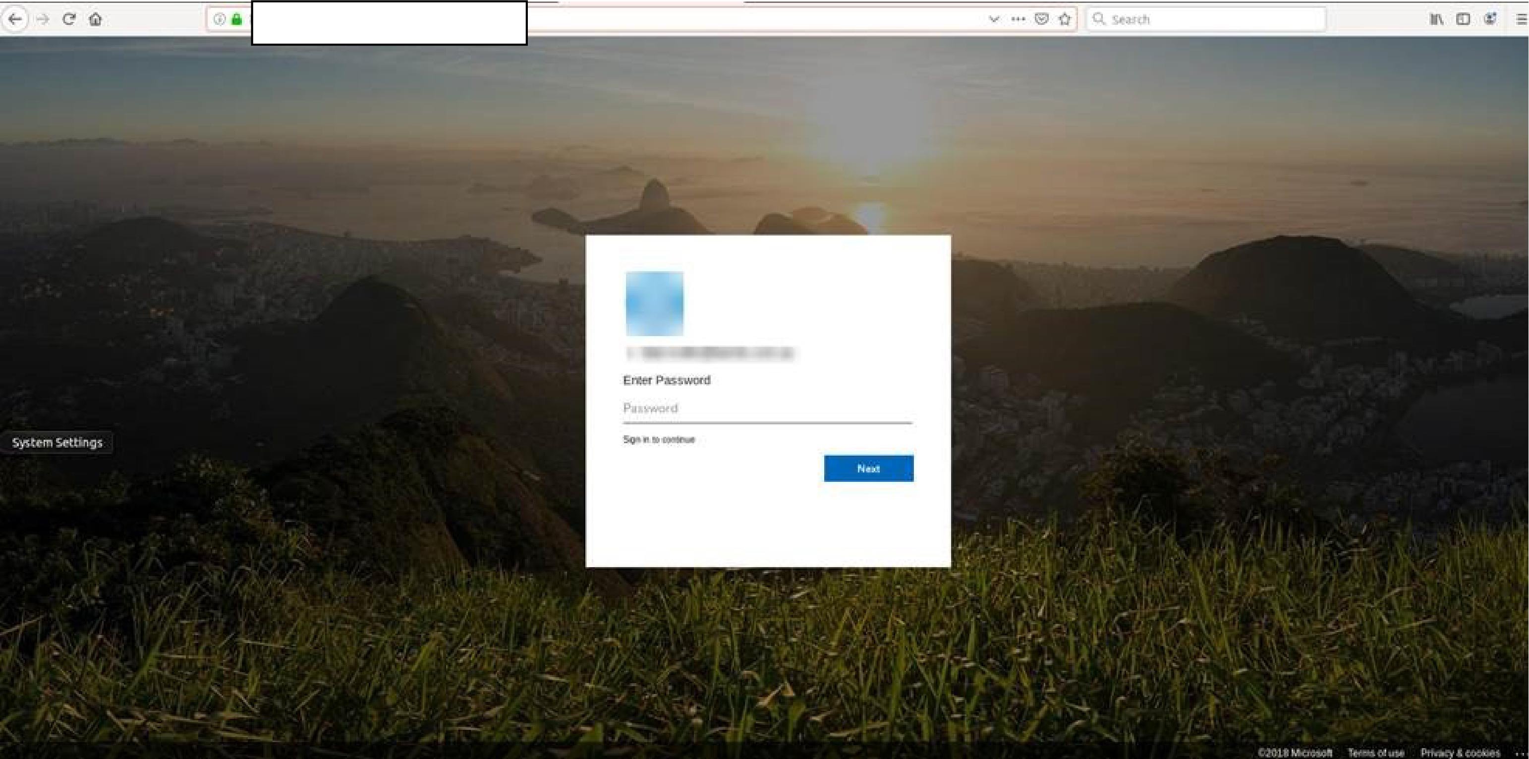 VM phishing-1