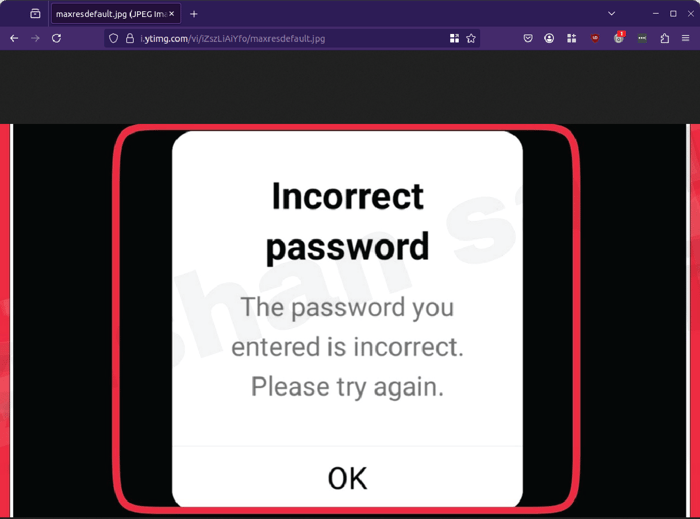 email update - incorrect password