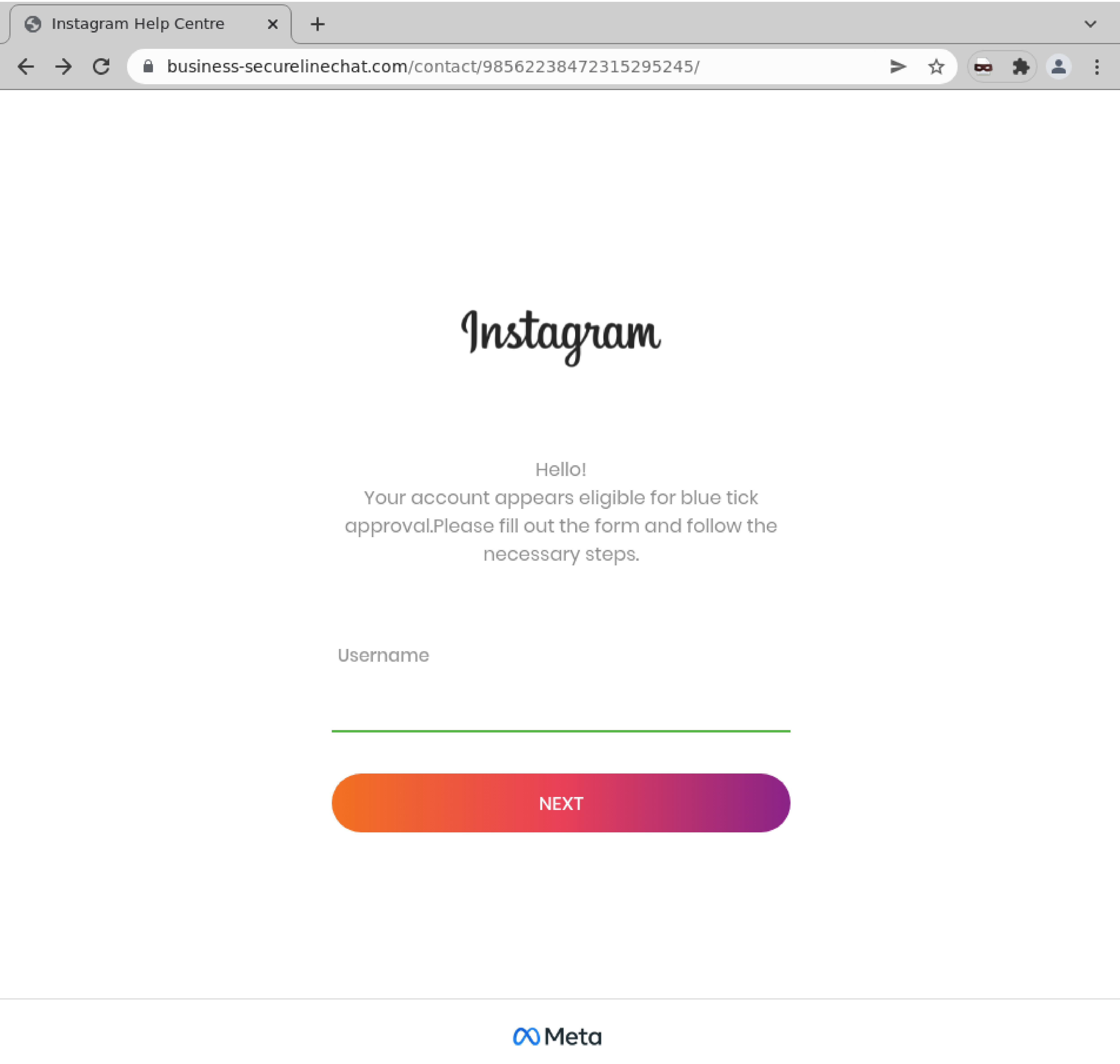 insta-meta-bluetick-approval-username-01