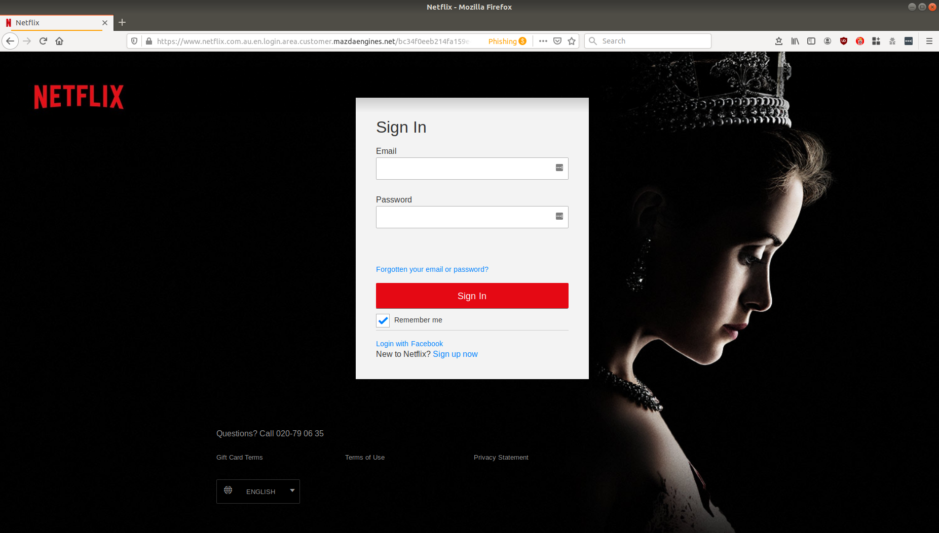 netlix scam login page 