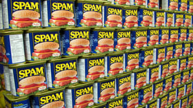 spamspamspam