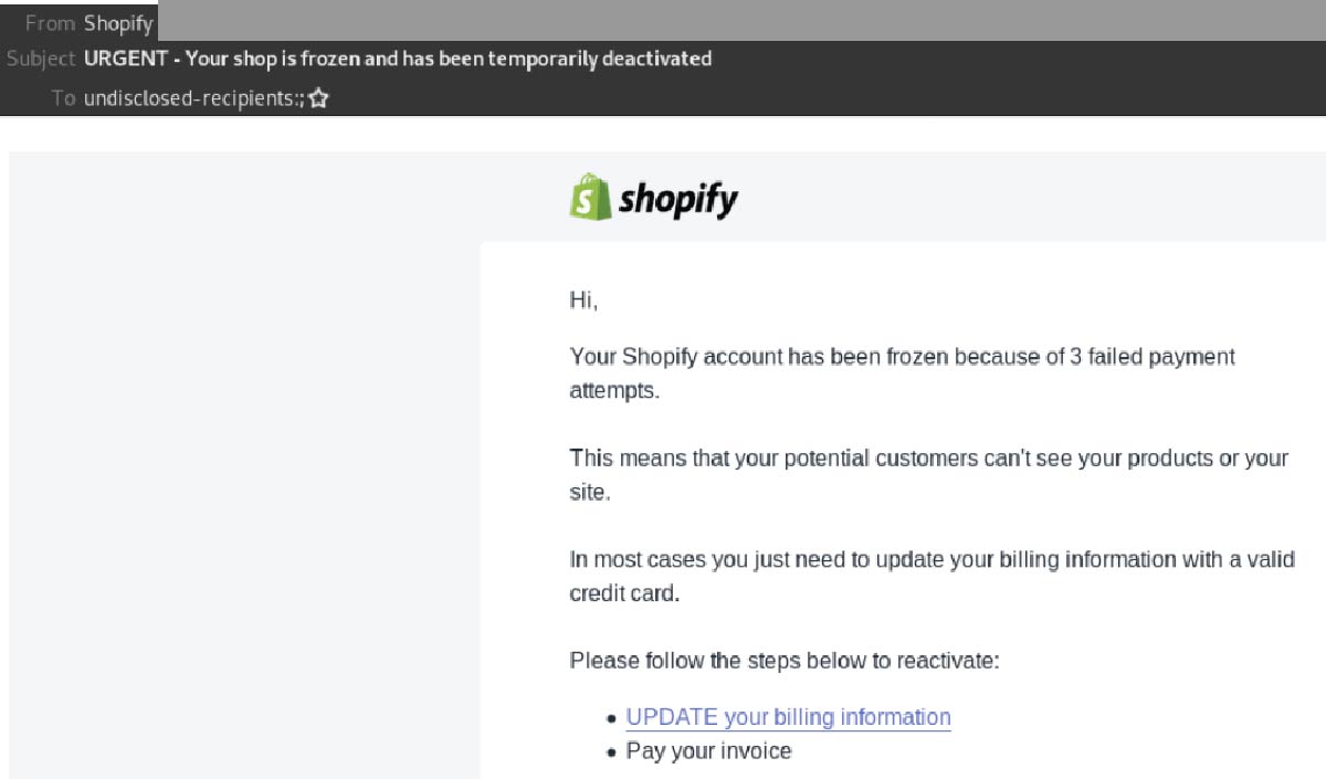 What Happens If Shopify Store is Frozen  